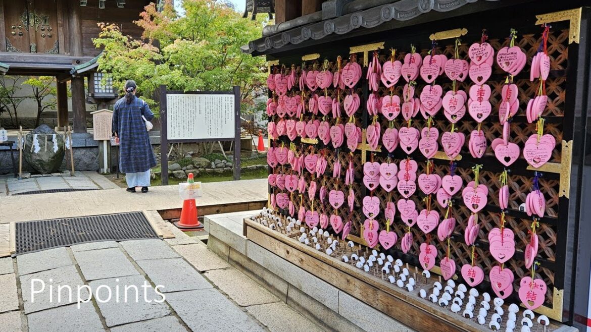 Pinpoints | E15 "Yamato Nadeshiko" | Niigata, Japan | A Retirement Travel Channel