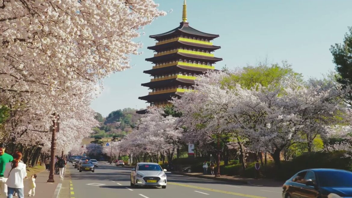 First Time in Japan? 🇯🇵 Must-Visit Places, Food & Travel Tips for Beginners! First Time in Japan? 🇯🇵 Must-Visit Places, Food & Travel Tips for Beginners!