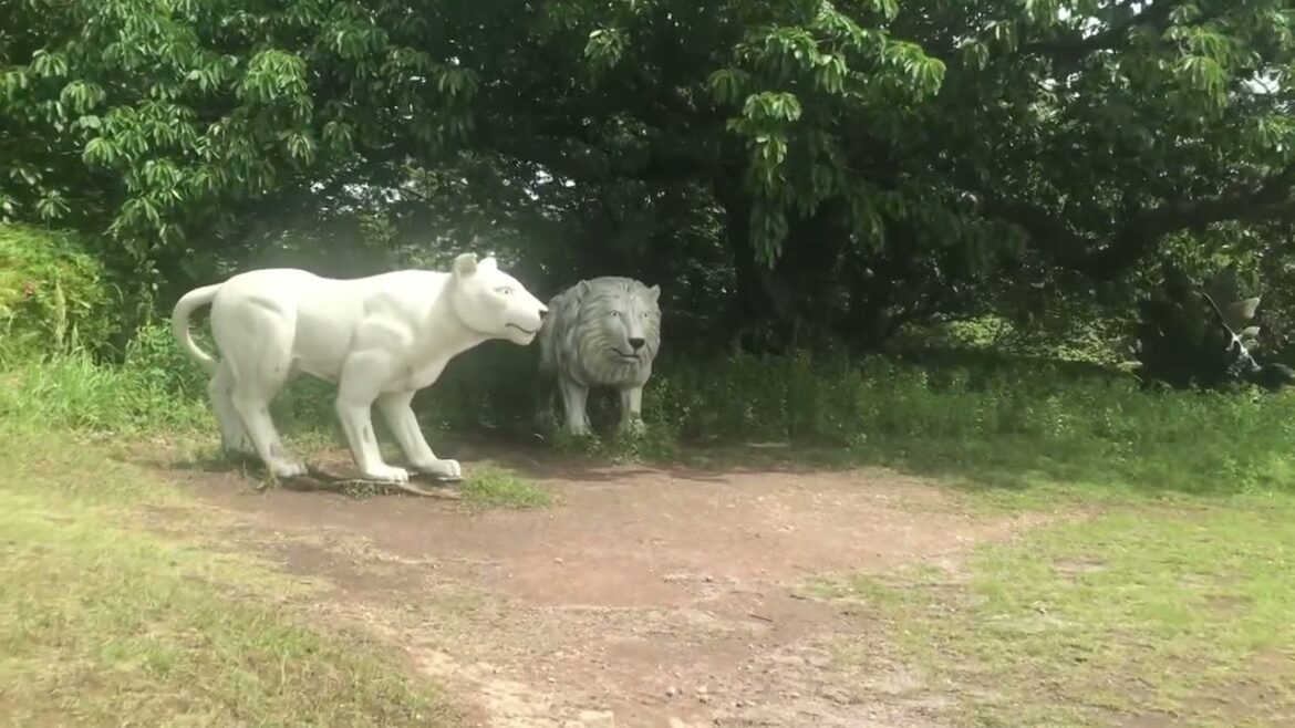 Dinosaur Park, Sakurajima Island, Kagoshima, Japan