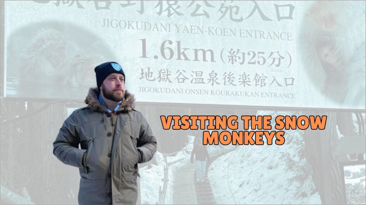 Traveling to Nagano, Japan to visit the SNOW MONKEYS