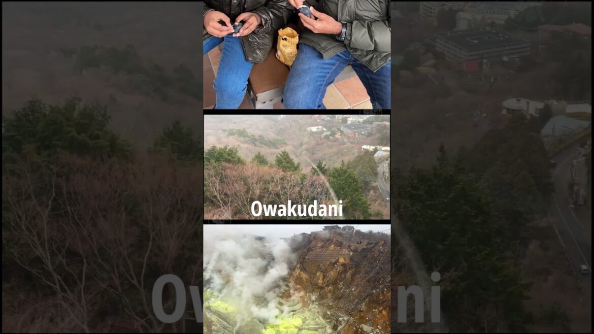 Owakudani Volcanic Valley & Black Eggs | Japan | 01#hakone #owakudani #blackegg #volcanic  #lava