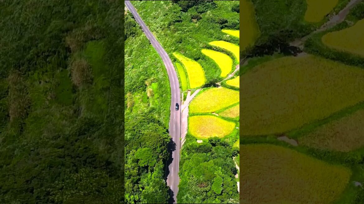 Hirado |平戸 | Nagasaki #travel #旅行