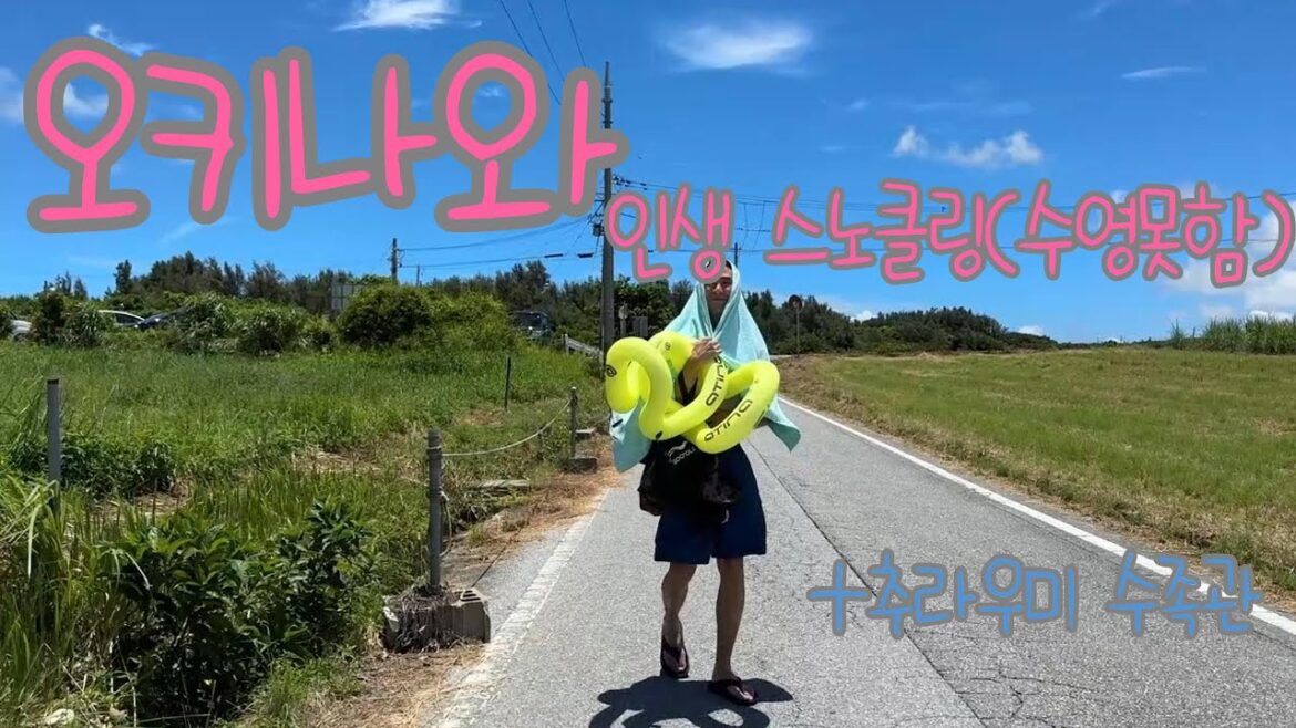 [오키나와여행EP.2] 수영할줄 몰라도 셀프 스노클링 ㅣ일본,오키나와,마에다곶,푸른동굴,오키나와맛집,추라우미수족관,스노쿨링,렌터카,블루씰