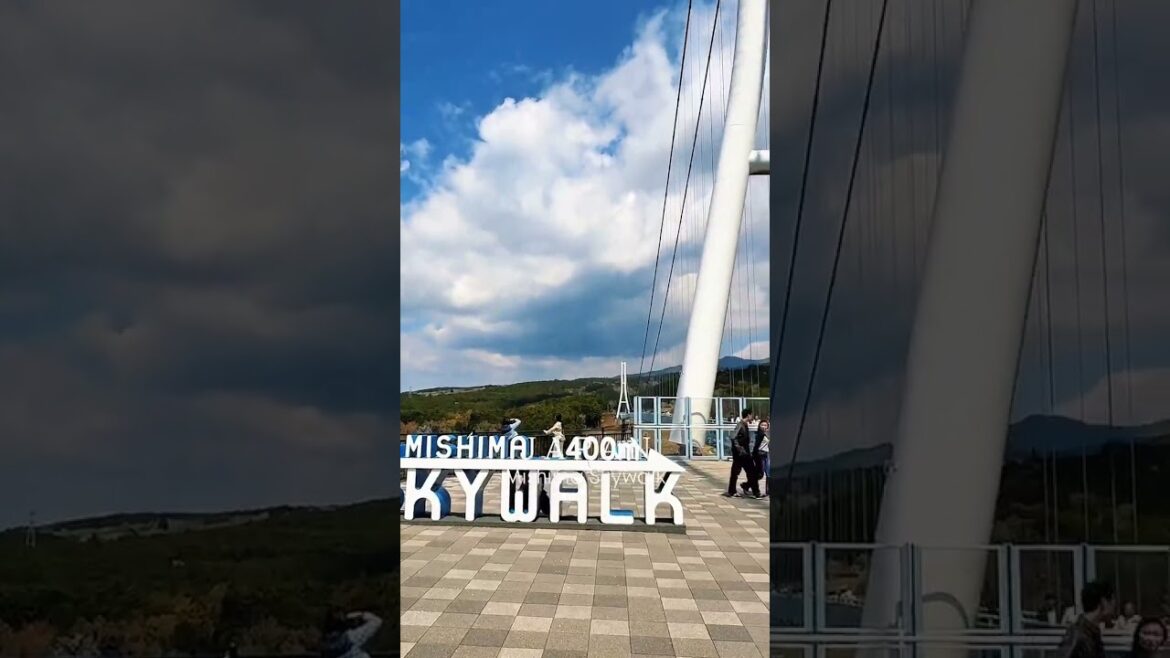 Mishima Skywalk: An iconic landmark in Shizuoka Prefecture #shizuoka #shorts #shortvideo