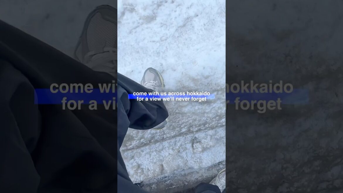 Worth the 6hr bus ride? 🥶 #hakodate #japantravel #japanvlog Worth the 6hr bus ride? 🥶 #hakodate #japantravel #japanvlog