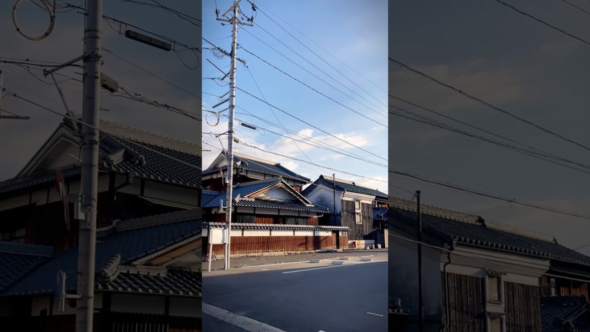 Okayama 🇯🇵 #japan #okayama #shorts