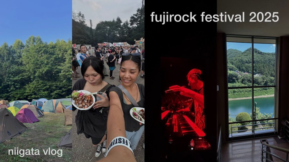 fuji rock festival 2025 with sft japan fuji rock festival 2025 with sft japan