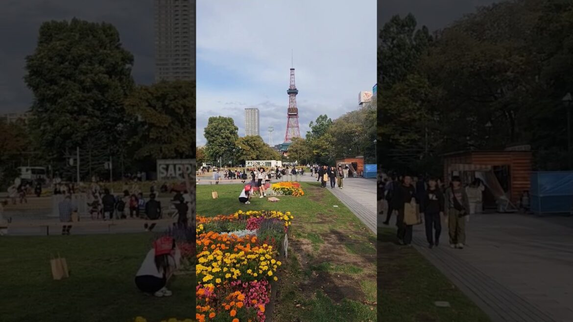 Sapporo in October# #travel #shorts #hokkaido#sapporo