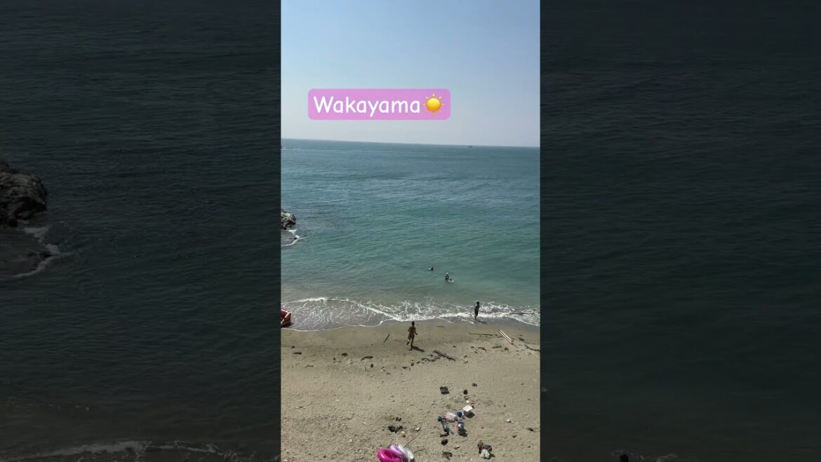 Chill Wakayama beach escape☀️#japansummer