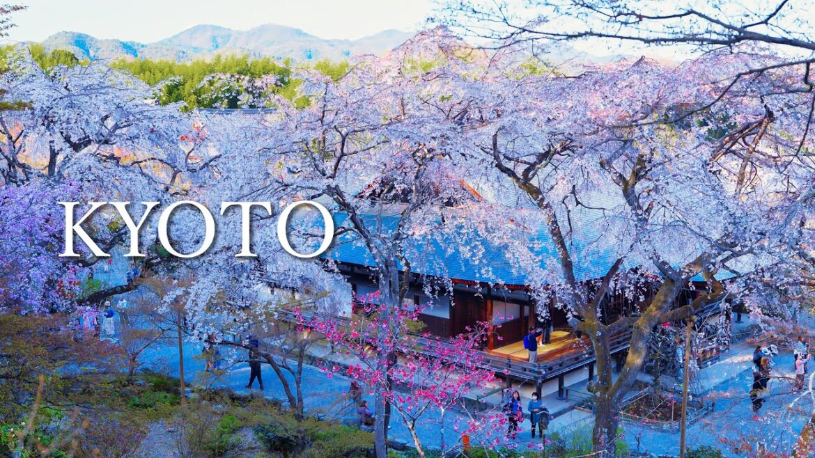 Arashiyama, KYOTO 🌿 Discover Tenryu-ji Temple, Bamboo Forest & Kyoto Sweets! 🍵✨ | Japan Travel VLOG