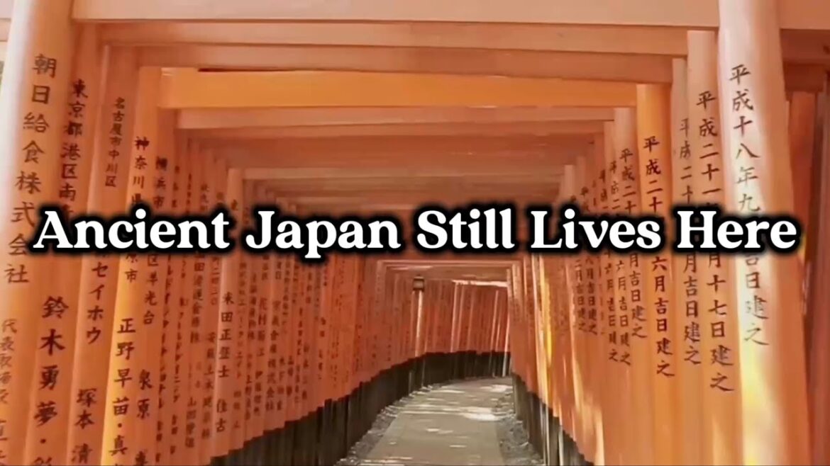 Walking Through Time: Ancient Japan Lives in This City