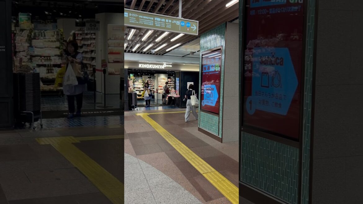 【KOBE】Everyday Common Scene – Sannomiya Station 【KOBE】Everyday Common Scene - Sannomiya Station