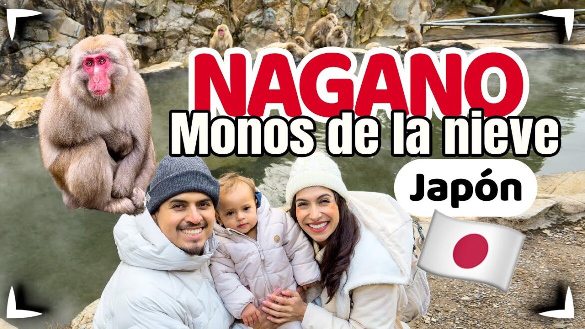 Visitamos los monos de la nieve en Japon 🔴 Nagano & Matsumoto ►Sin Postal Visitamos los monos de la nieve en Japon 🔴 Nagano & Matsumoto ►Sin Postal
