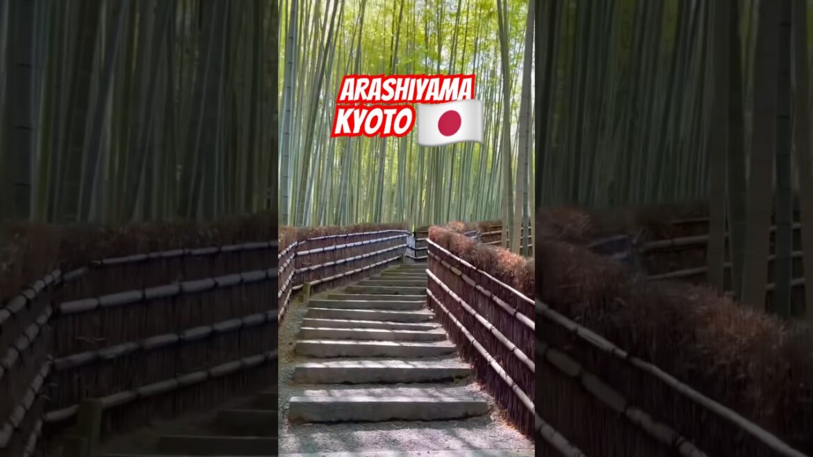 Kyoto’s Arashiyama Will Leave You Speechless Kyoto’s Arashiyama Will Leave You Speechless