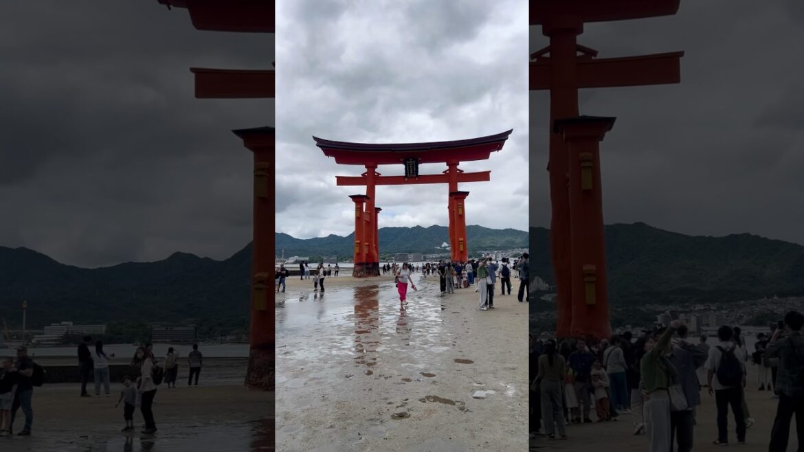 Beautiful Japanese Island, Miyajima #hiroshima#travel#shorts#peace