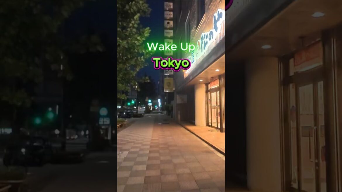 Tokyo is Waking Up – Ultra Timelapse #japan #4kwalk #travel #wakeup #sunset
