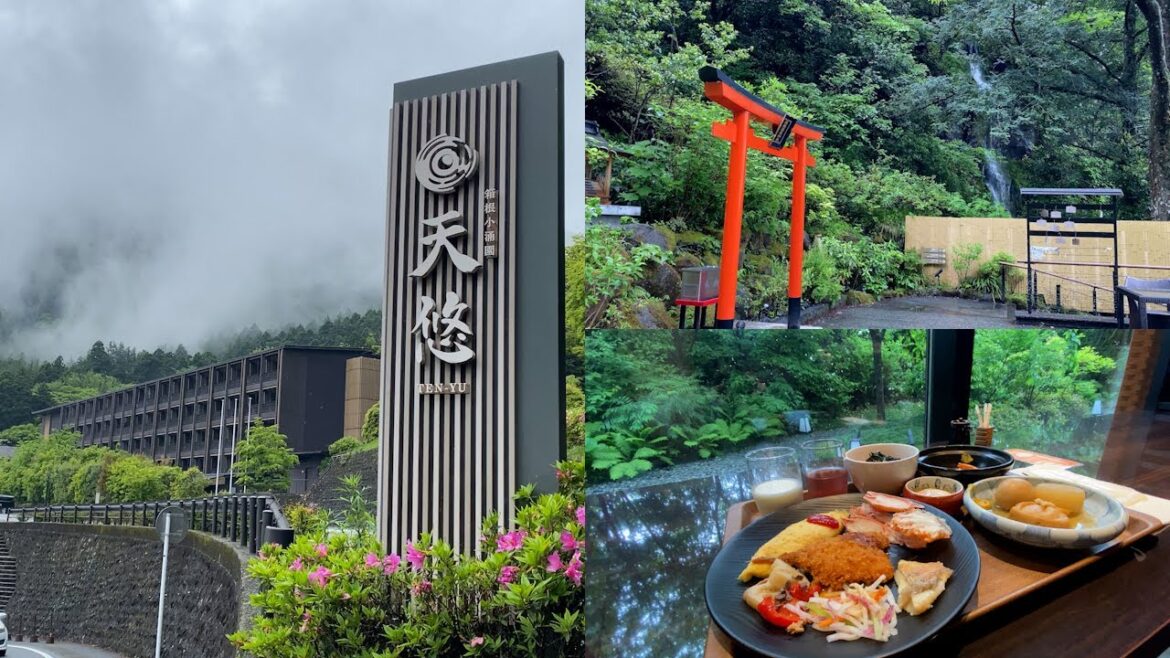 Best View/Infinity Category No.1 in Kanto Area Best View/Infinity Category No.1 in Kanto Area