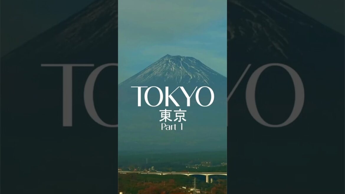 Travel | Tokyo, Japan 2023 Trip (Part 1)