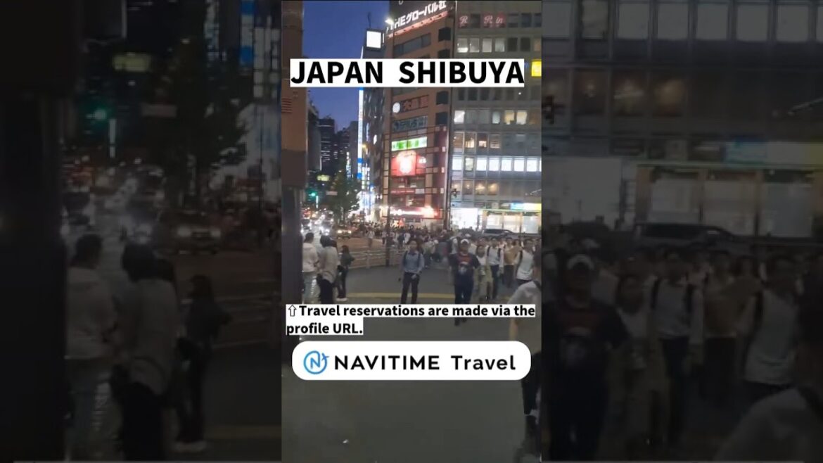 japan trip┃Shibuya Scramble Crossing in Japan┃japan travel┃ japan trip┃Shibuya Scramble Crossing in Japan┃japan travel┃