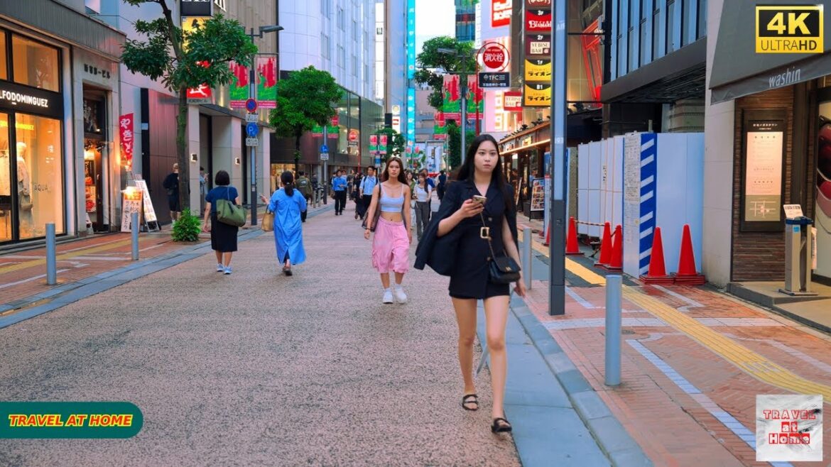 4K HDR Japan travel 2025 | Walk in Shinjuku(新宿)Tokyo Japan | Relaxing Natural City ambience 4K HDR Japan travel 2025 | Walk in Shinjuku(新宿)Tokyo Japan | Relaxing Natural City ambience