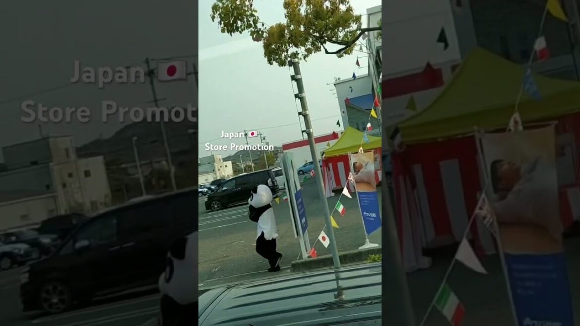 #Japan#wakayama #trip #dance video #