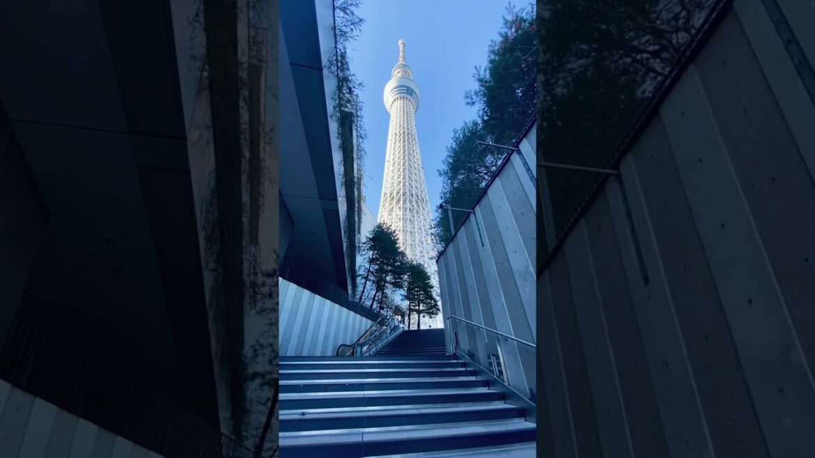 THE BEST of TOKYO🗼✨🇯🇵 #shorts #youtubeshorts #viralvideo #viral #viralshorts