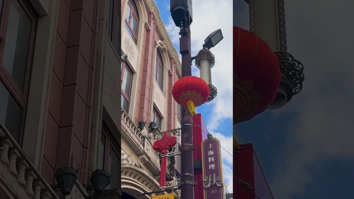 Japan Vibes ✦ Tokyo Cinematic Wanderings ✦ Yokohama Chinatown ✦ #shorts