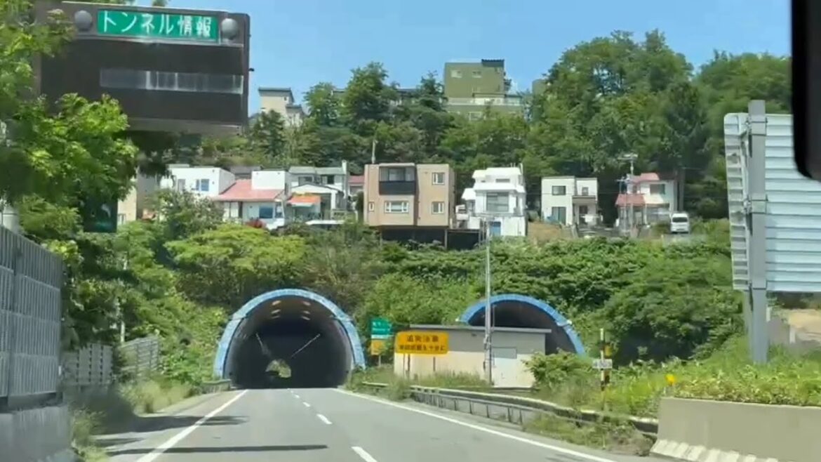 Hokkaido Summer Road Trip : Japan Travel Vlog : Jun - Jul 2025 : Otaru Furano Biei Sapporo : Part 1