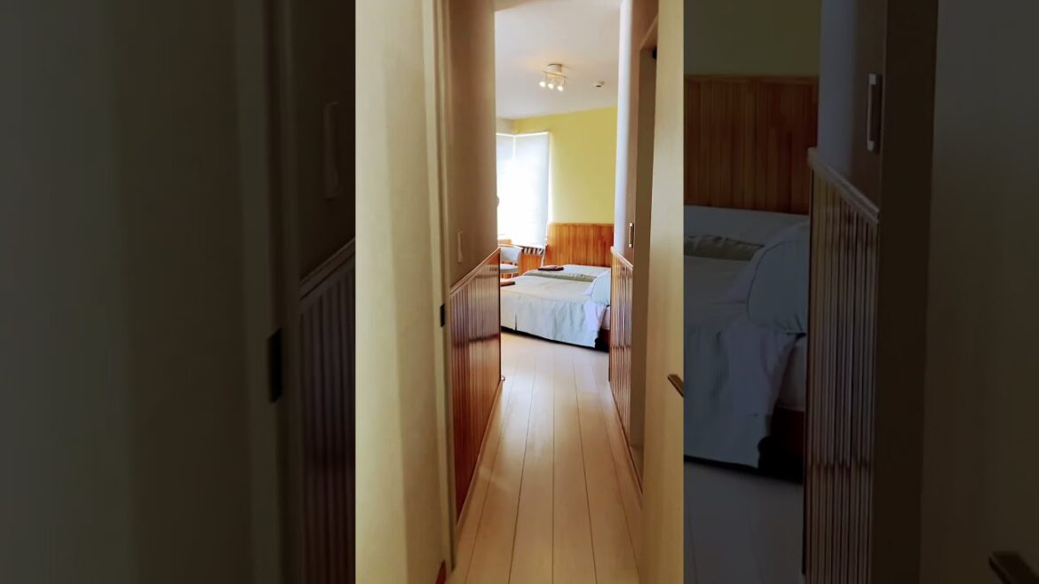 The View at Shirahama  Beach #blog#beachview#japan#travel#utubeshorts#summer#fyp##airbnb#vacation