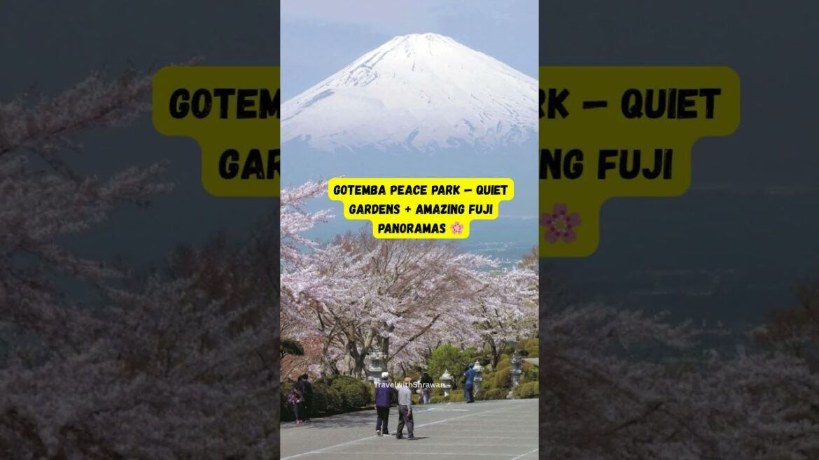 8 Best Spots to See Mt  Fuji ⛰️✨  #japan #travel #mtfuji #japantravel #tokyo #fujisan #top