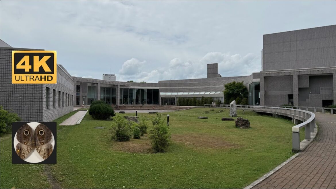 22/6/25 - Higashikawa Michi No Eki (Mont Bell Shop), Asahikawa City Museum