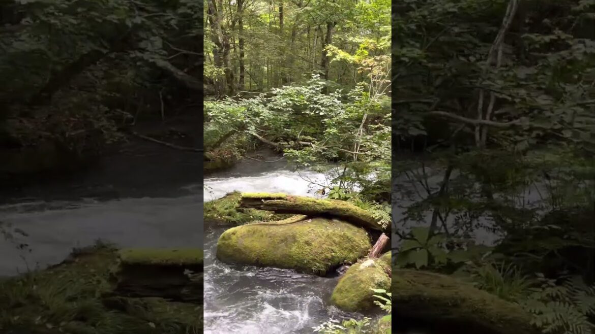 Relaxing sounds of river in Aomori, Japan 🇯🇵 #asmr #travel