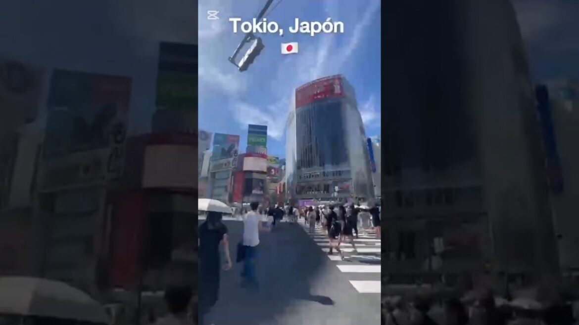 Tokio, Japón🇯🇵 #japon #japón #japan #japanese #japantravel #travel #traveling #vlog #viral #trend