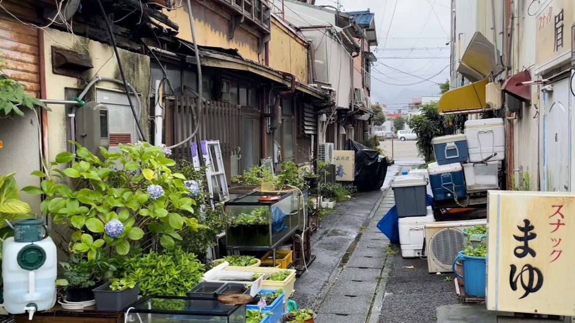 Yaizu Nakaminato walk, Shizuoka, Japan [4K HDR]