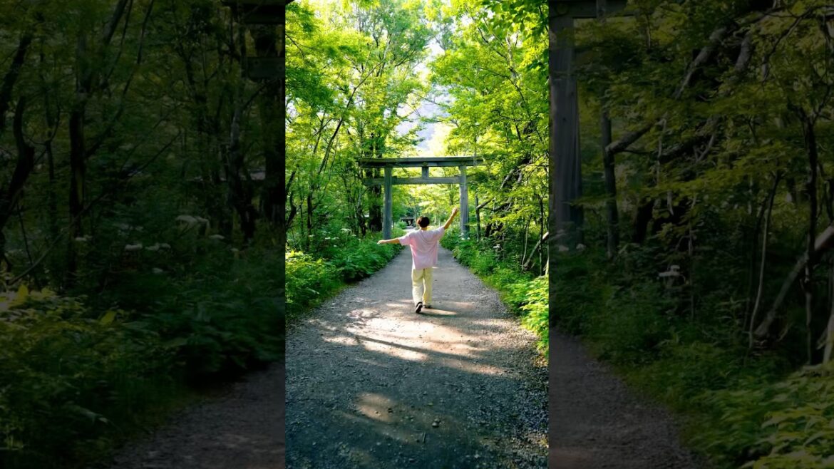 The Cleanest River in Japan? ⛰️Kamikōchi, Nagano #japan #travel #zen The Cleanest River in Japan? ⛰️Kamikōchi, Nagano #japan #travel #zen