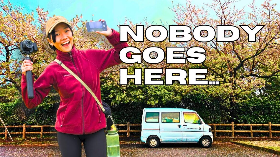 Vanlife in Shikoku, Japan's least visited main island