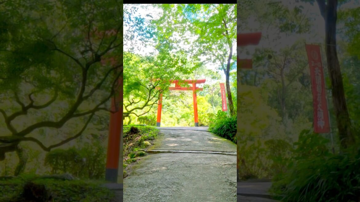 Explore Dazaifu #fxadventures #dazaifu #fukuoka #japan