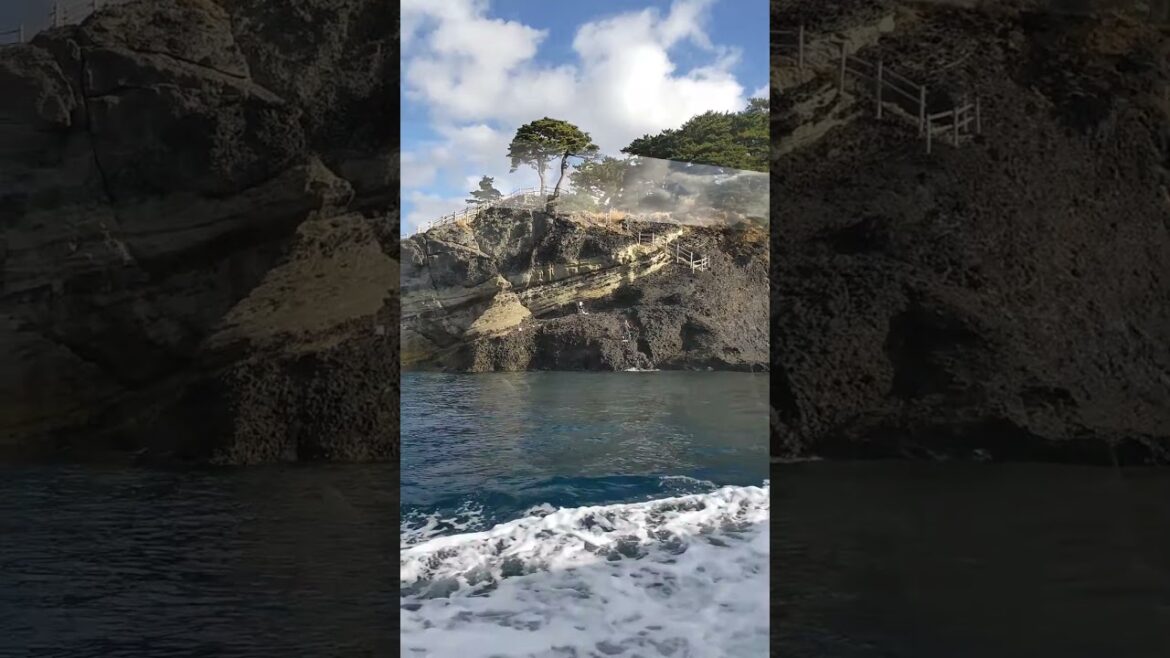 Izu, Shizuoka, Japan #7