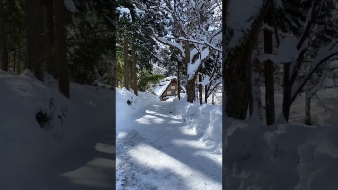 Top 5 most 😍 beautiful places in Japan part 2#shorts #shortsfeed #explore #travel #places #beautiful