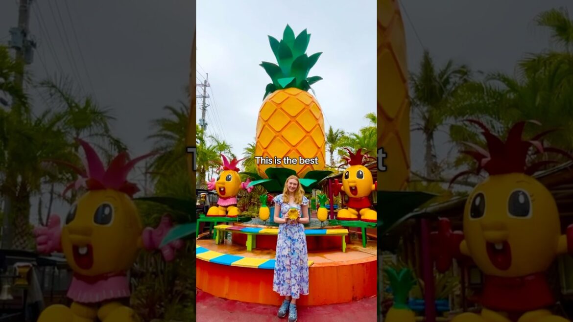 Nago pineapple park Okinawa 🍍 #japan #okinawa #travel #pineapple Nago pineapple park Okinawa 🍍 #japan #okinawa #travel #pineapple