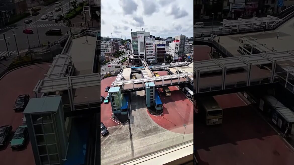 Compact Japanese Hotel Room #youtubeshorts #automobile #asiantravel