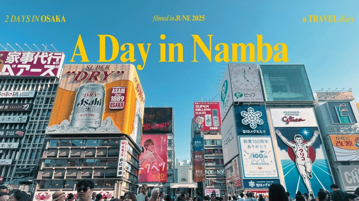 a very quick Osaka trip, Maido in Namba, Rinkutown and a rice field