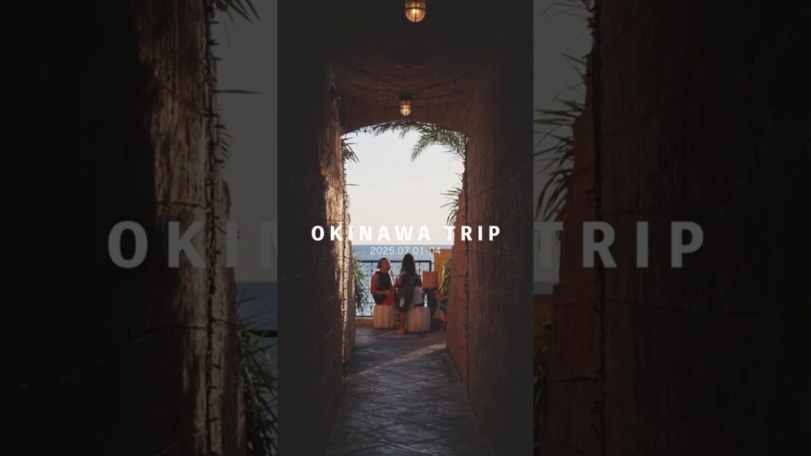 OKINAWA TRIP OKINAWA TRIP