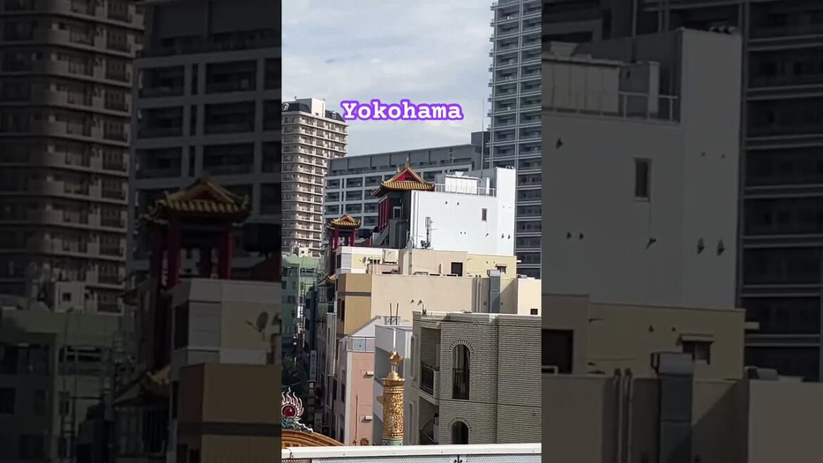 #yokohama #歌うま #歌ってみた #ライブ #travel