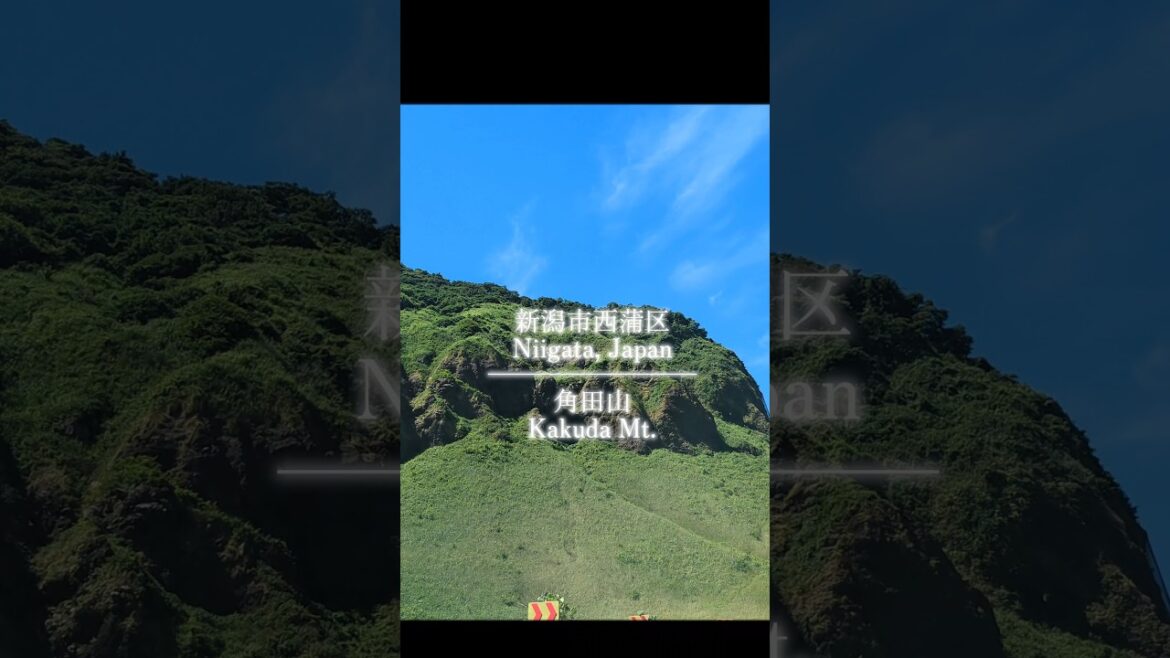 大好きな推し山 角田山です♥ #角田山 #西蒲区 #新潟市 #海 #シーサイドライン #shorts #おすすめ #nature #japan #mountain