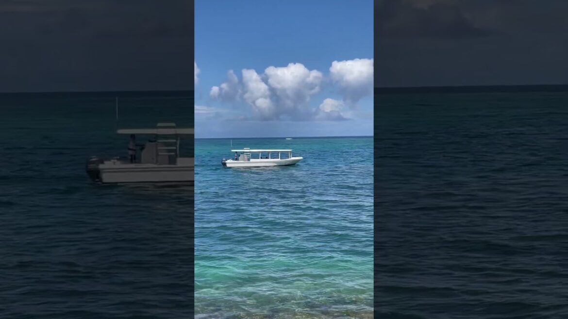 #okinawa #naha #trip #travel #beach #japan #japao #lovejapan #japanforever @alecsjapanlife