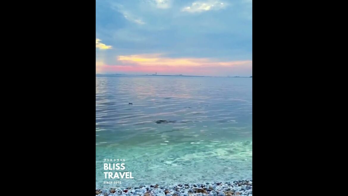 Discover Rinku Marble Beach 🌅 – Osaka’s Hidden Sunset Paradise!