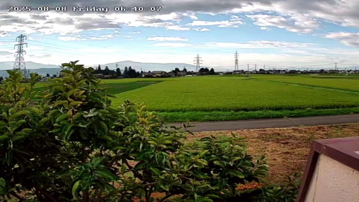 長野県安曇野市ライブカメラ「Nagano Azumino Live camera.world cam.