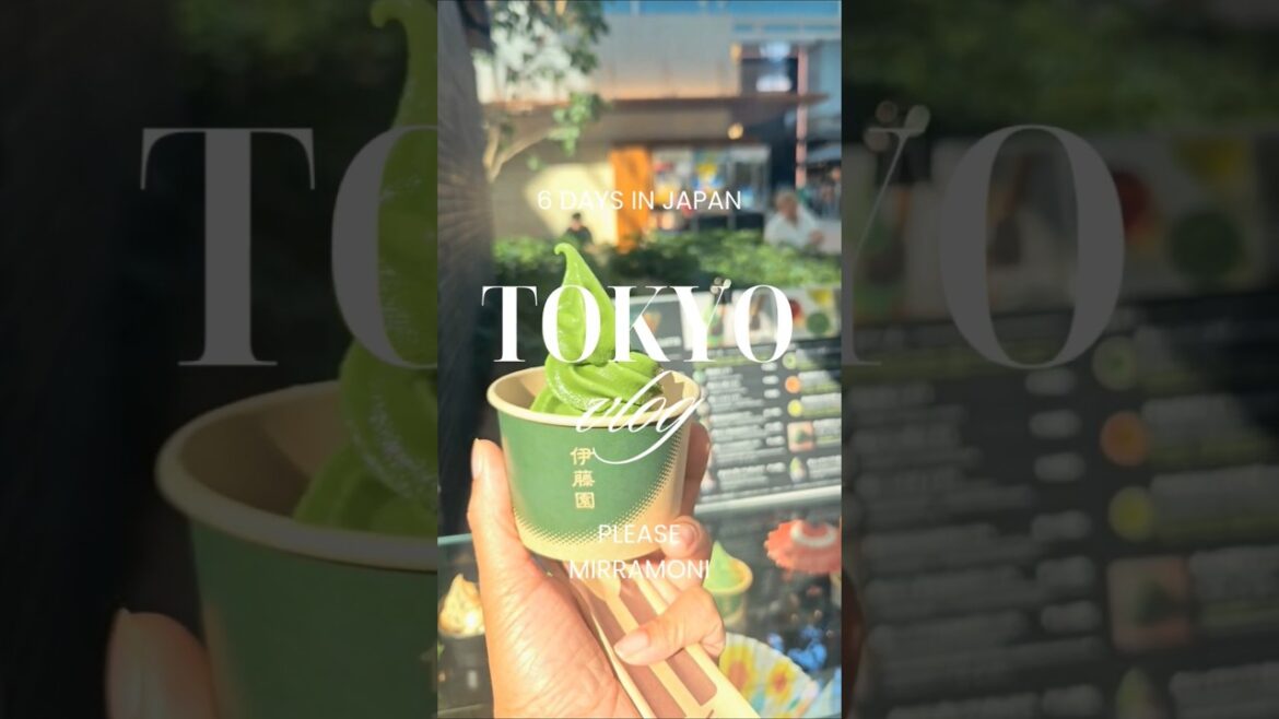 30th Birthday Tokyo: Shopping + Matcha #tokyo #tokyotravel #japan #japanese #travelshorts