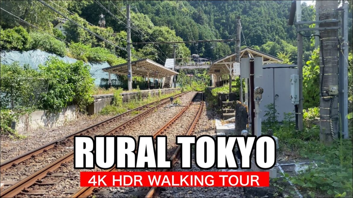 【4K】Walking in the rural are of Tokyo, Japan 【4K】Walking in the rural are of Tokyo, Japan